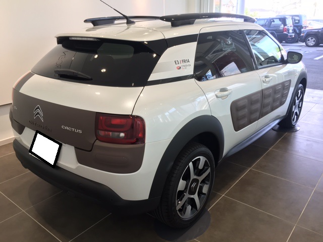 C4CACTUS納車