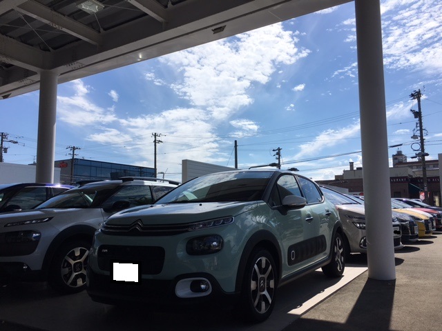 試乗日和
