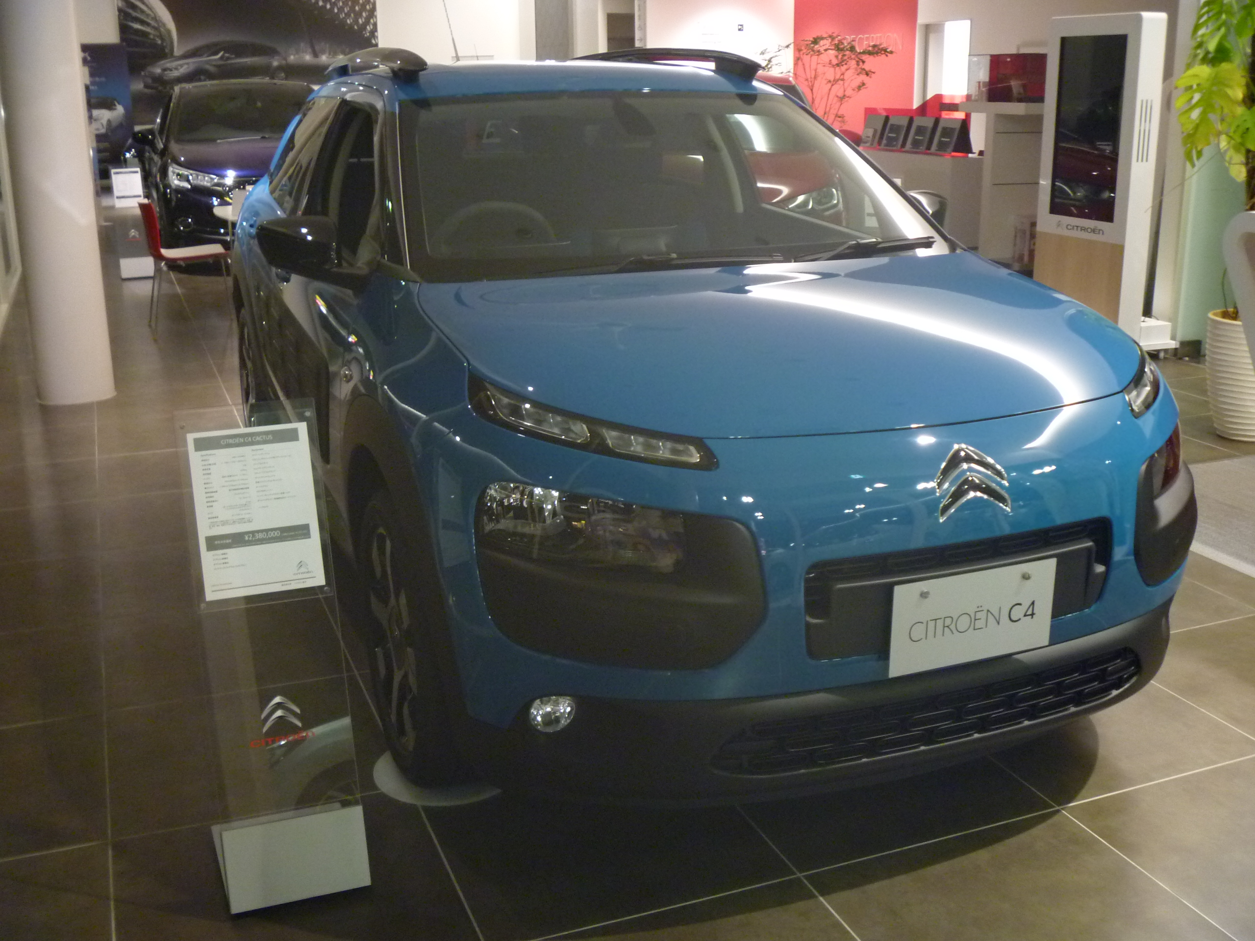 残り僅か！C4CACTUS