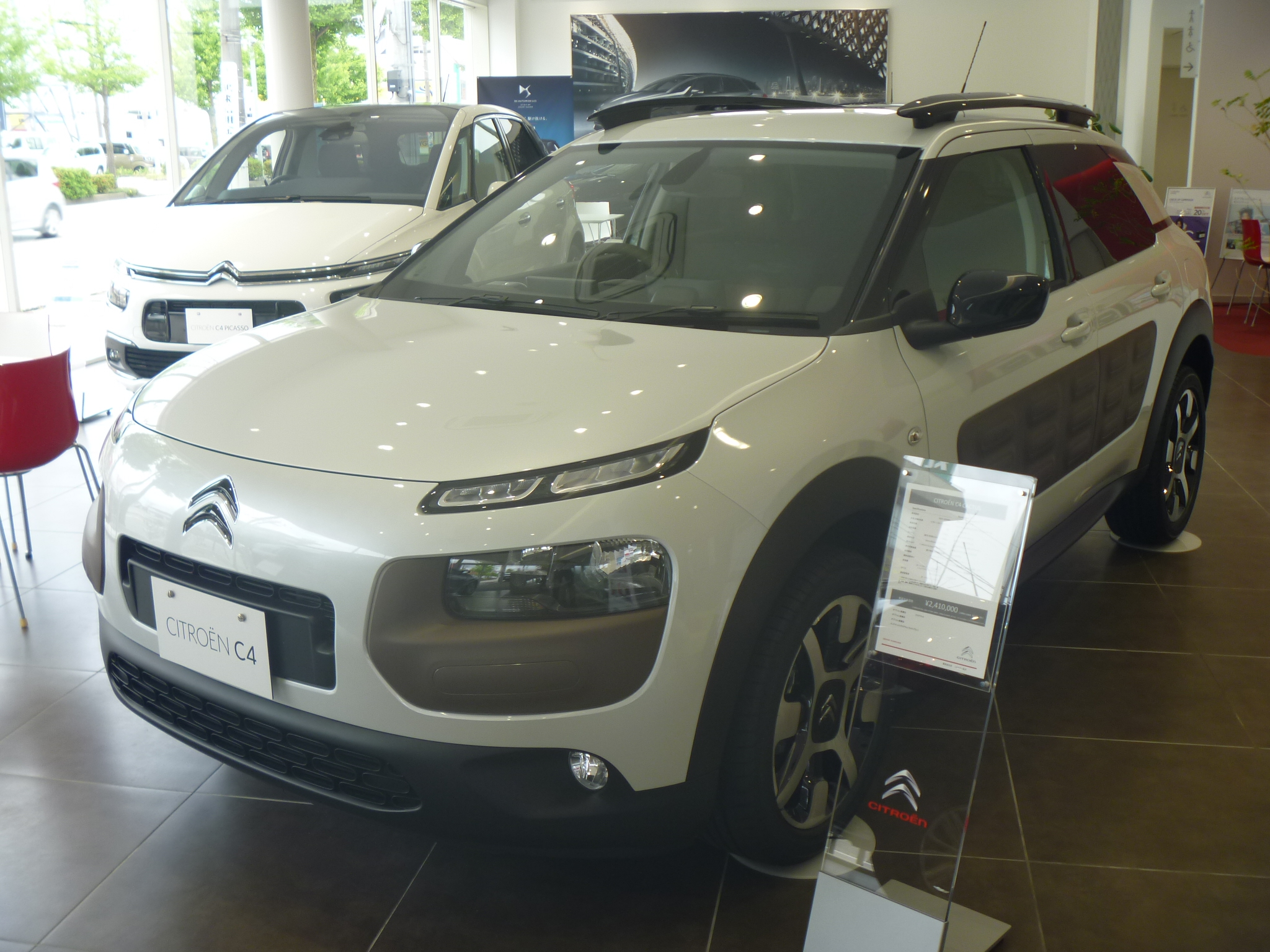 残り僅か！C4CACTUS