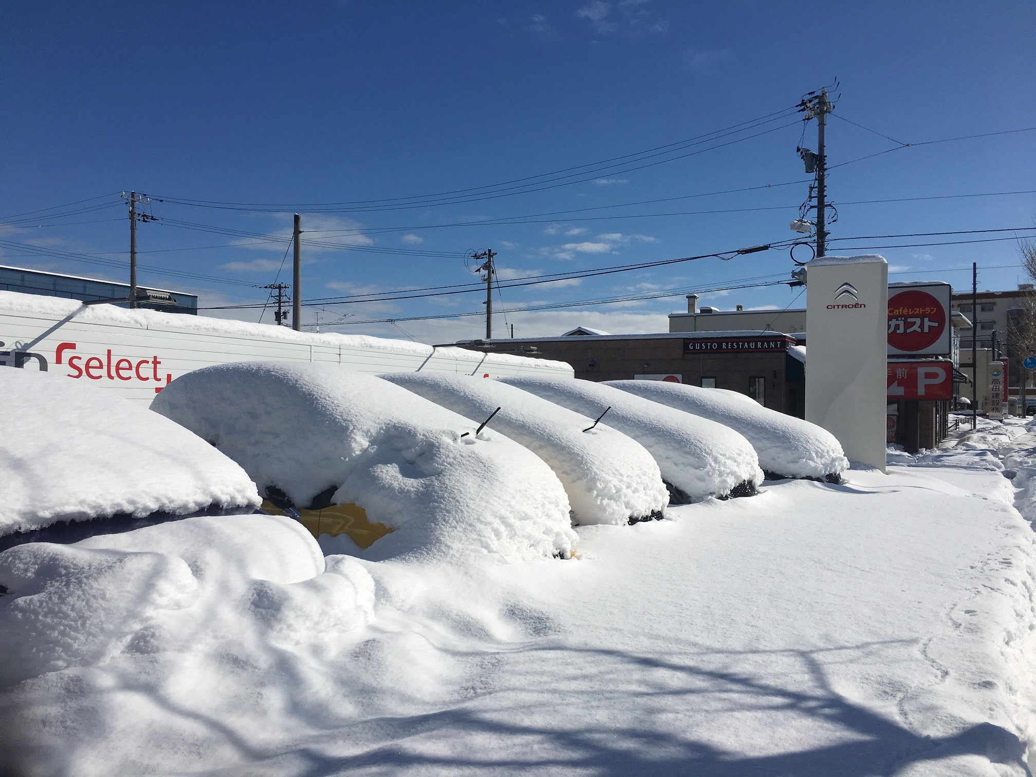 雪