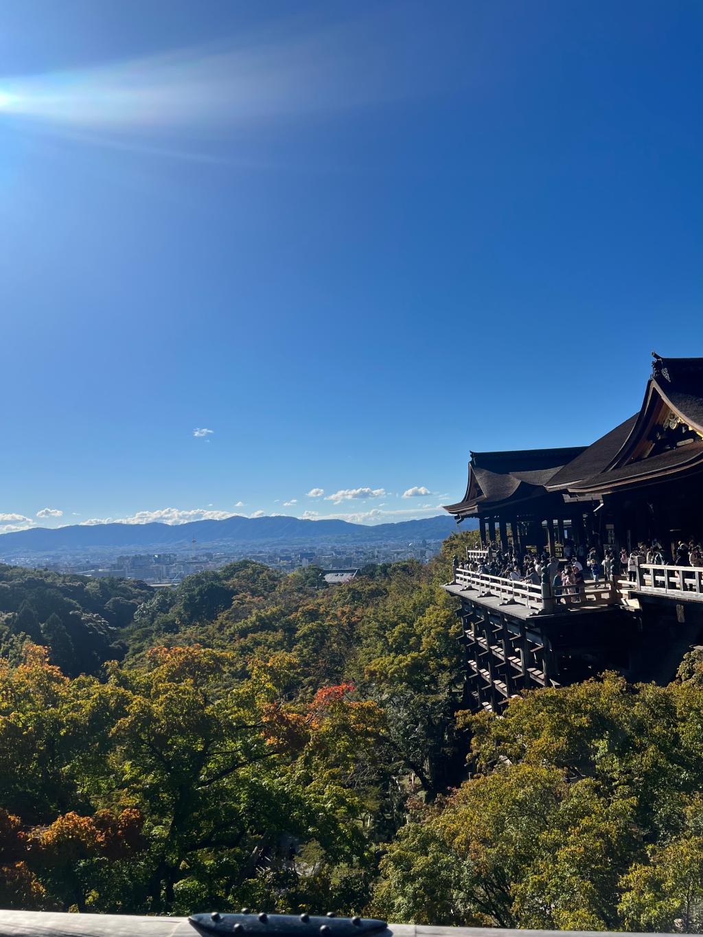 大好きな季節がやってきました