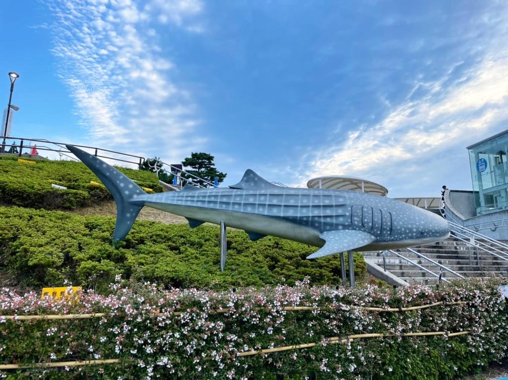 休日は能登島水族館で